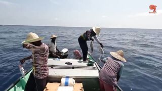 Глубинная рыбалка в океане за rosy snapper тяжёлые снасти и борьба с рыбой на большой глубине