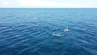 Морская рыбалка в Playas del Coco Costa Rica экстремальная охота за трофейной океанской рыбой