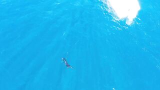 Морская рыбалка в Playas del Coco Costa Rica экстремальная охота за трофейной океанской рыбой