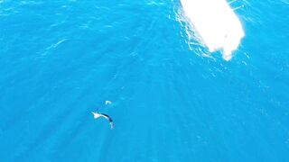 Морская рыбалка в Playas del Coco Costa Rica экстремальная охота за трофейной океанской рыбой