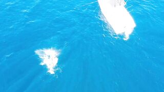 Морская рыбалка в Playas del Coco Costa Rica экстремальная охота за трофейной океанской рыбой