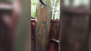 Osa Peninsula Costa Rica: далеко от толп близко к природе и интересно как тут с рыбалкой в океане