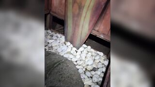 Osa Peninsula Costa Rica: далеко от толп близко к природе и интересно как тут с рыбалкой в океане