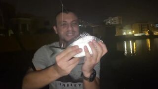 Ночная морская рыбалка в Бахрейне у Amwaj Island выезд в Персидский залив за трофейной рыбой