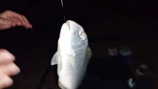 Ночная морская рыбалка в Бахрейне у Amwaj Island выезд в Персидский залив за трофейной рыбой