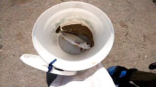 Морская рыбалка в Taqa Salalah Oman fishing у волнореза breakwater и первые трофеи в Аравийском море