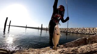 Морская рыбалка в Taqa Salalah Oman fishing у волнореза breakwater и первые трофеи в Аравийском море