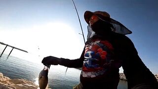 Морская рыбалка в Taqa Salalah Oman fishing у волнореза breakwater и первые трофеи в Аравийском море