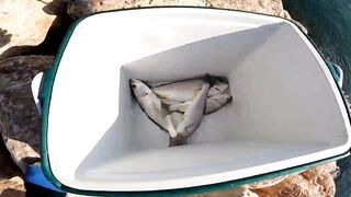 Морская рыбалка в Taqa Salalah Oman fishing у волнореза breakwater и первые трофеи в Аравийском море