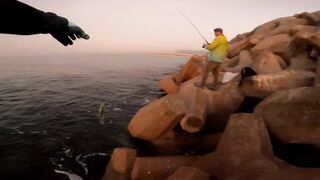 Морская рыбалка в Taqa Salalah Oman fishing у волнореза breakwater и первые трофеи в Аравийском море