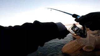 Морская рыбалка в Taqa Salalah Oman fishing у волнореза breakwater и первые трофеи в Аравийском море