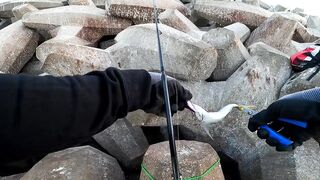Морская рыбалка в Taqa Salalah Oman fishing у волнореза breakwater и первые трофеи в Аравийском море