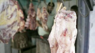 Индия штат Kerala что скрывает от туристов история жителя и экскурсия по городу Cochin