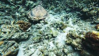 Филиппины Корон: затонувший американский флот и рай для туристов и дайверов