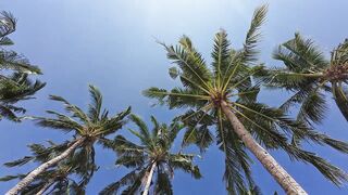 Филиппины Корон: затонувший американский флот и рай для туристов и дайверов