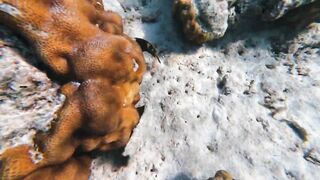 Филиппины Корон: затонувший американский флот и рай для туристов и дайверов