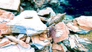 Top Fishing Charter in Turkey: Fethiye и Oludeniz лучшие туры на морскую рыбалку с Game of Fishing