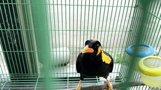 Krabi 2025 Railay Beach, лучший пляж Краби путешествие своим ходом по Таиланду