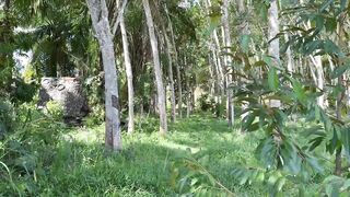 Krabi 2025 Railay Beach, лучший пляж Краби путешествие своим ходом по Таиланду