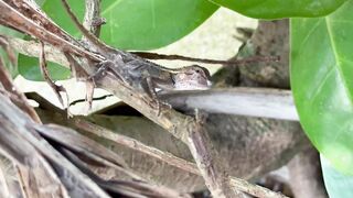 Krabi 2025 Railay Beach, лучший пляж Краби путешествие своим ходом по Таиланду