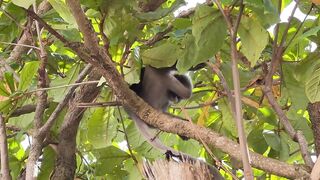 Krabi 2025 Railay Beach, лучший пляж Краби путешествие своим ходом по Таиланду