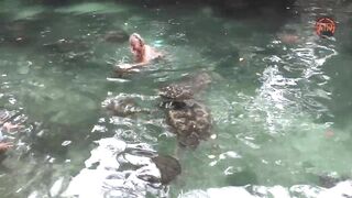 Пляжи Занзибара ТОП 3 Nungwi Kendwa и Paje райские места острова Unguja Танзания