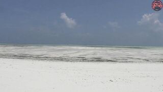 Пляжи Занзибара ТОП 3 Nungwi Kendwa и Paje райские места острова Unguja Танзания