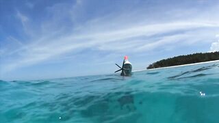 Zanzibar Mnemba остров Немо лодка к рифу и встреча с яркими рыбами под водой