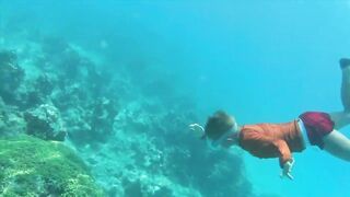 Zanzibar Mnemba остров Немо лодка к рифу и встреча с яркими рыбами под водой
