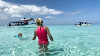Zanzibar Mnemba остров Немо лодка к рифу и встреча с яркими рыбами под водой