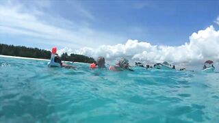 Zanzibar Mnemba остров Немо лодка к рифу и встреча с яркими рыбами под водой