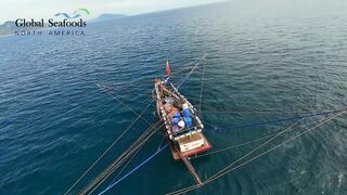 Морская рыбалка в Lang Co Вьетнам ночная ловля кальмара с огнями на традиционной лодке