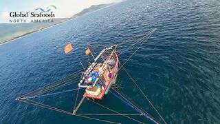 Морская рыбалка в Lang Co Вьетнам ночная ловля кальмара с огнями на традиционной лодке