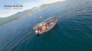 Морская рыбалка в Lang Co Вьетнам ночная ловля кальмара с огнями на традиционной лодке