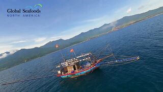 Морская рыбалка в Lang Co Вьетнам ночная ловля кальмара с огнями на традиционной лодке