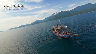 Морская рыбалка в Lang Co Вьетнам ночная ловля кальмара с огнями на традиционной лодке