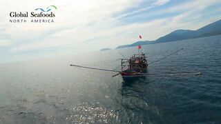 Морская рыбалка в Lang Co Вьетнам ночная ловля кальмара с огнями на традиционной лодке