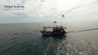 Морская рыбалка в Lang Co Вьетнам ночная ловля кальмара с огнями на традиционной лодке