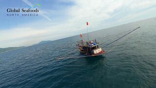 Морская рыбалка в Lang Co Вьетнам ночная ловля кальмара с огнями на традиционной лодке