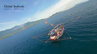 Морская рыбалка в Lang Co Вьетнам ночная ловля кальмара с огнями на традиционной лодке