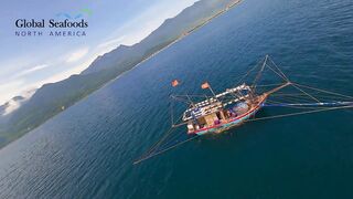 Морская рыбалка в Lang Co Вьетнам ночная ловля кальмара с огнями на традиционной лодке