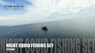 Морская рыбалка в Lang Co Вьетнам ночная ловля кальмара с огнями на традиционной лодке