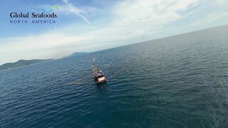 Морская рыбалка в Lang Co Вьетнам ночная ловля кальмара с огнями на традиционной лодке