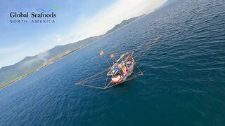 Морская рыбалка в Lang Co Вьетнам ночная ловля кальмара с огнями на традиционной лодке