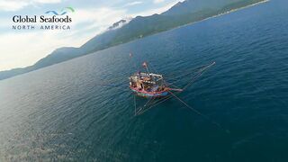 Морская рыбалка в Lang Co Вьетнам ночная ловля кальмара с огнями на традиционной лодке