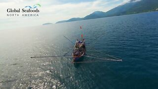 Морская рыбалка в Lang Co Вьетнам ночная ловля кальмара с огнями на традиционной лодке