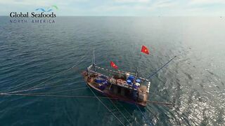 Морская рыбалка в Lang Co Вьетнам ночная ловля кальмара с огнями на традиционной лодке