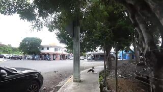 Boca Chica Доминикана прогулка по Санто Доминго пляжи музыка и вечер у моря