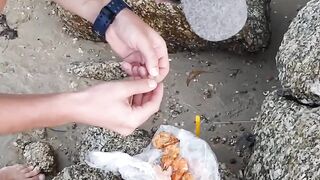 Рыбалка в Таиланде Phuket пляж Bang Tao утренние забросы и прогулка вдоль моря