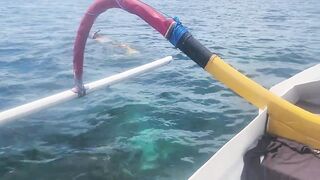 Nusa Lembongan и Nusa Ceningan, мангровый лес плантации водорослей и тихие бухты Бали